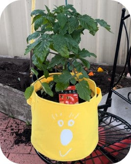 11-Litre Eco-Friendly Plant Grow Bag